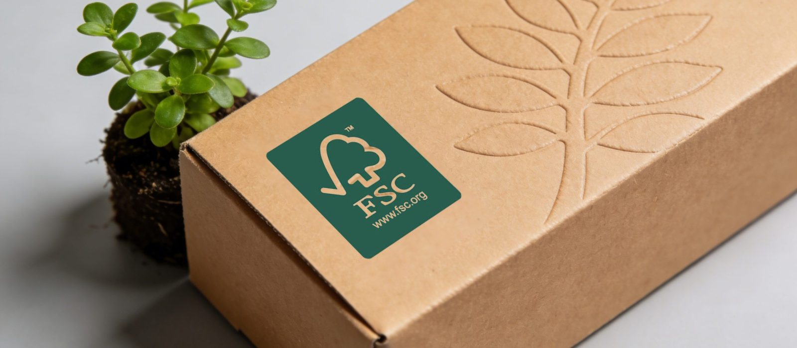 How Is FSC-Certified Paper Used in Custom Packaging?