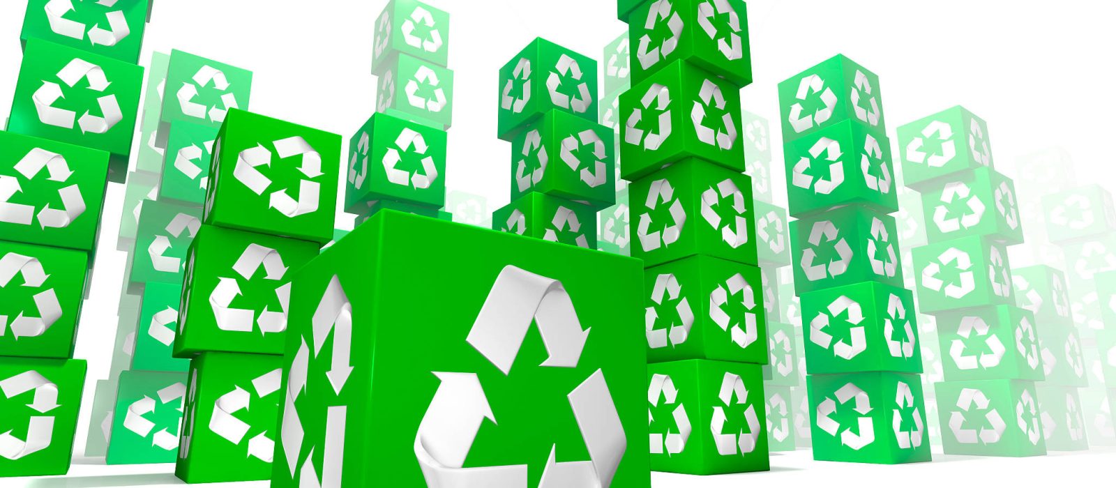 How Do You Move From Green Packaging to Real Sustainability?
